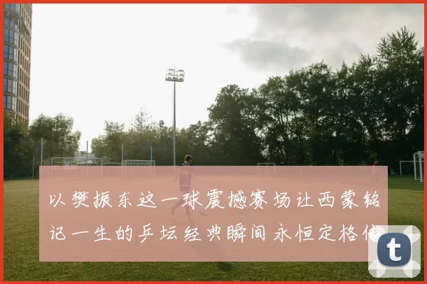 以樊振东这一球震撼赛场让西蒙铭记一生的乒坛经典瞬间永恒定格传奇